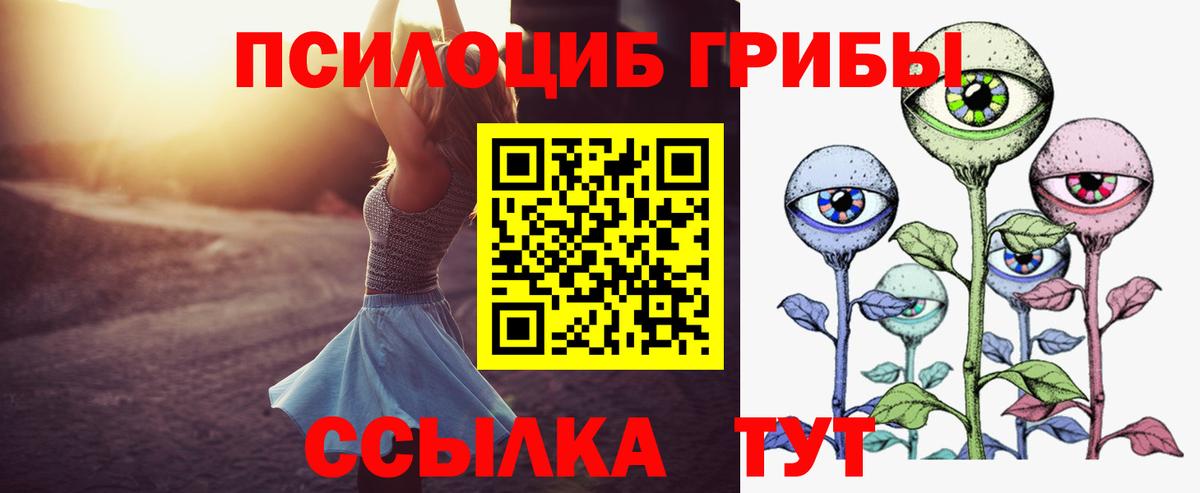 купить наркотики сайты  Вход с VPN  Калуга  Псилоцибиновые грибы Psilocybe 